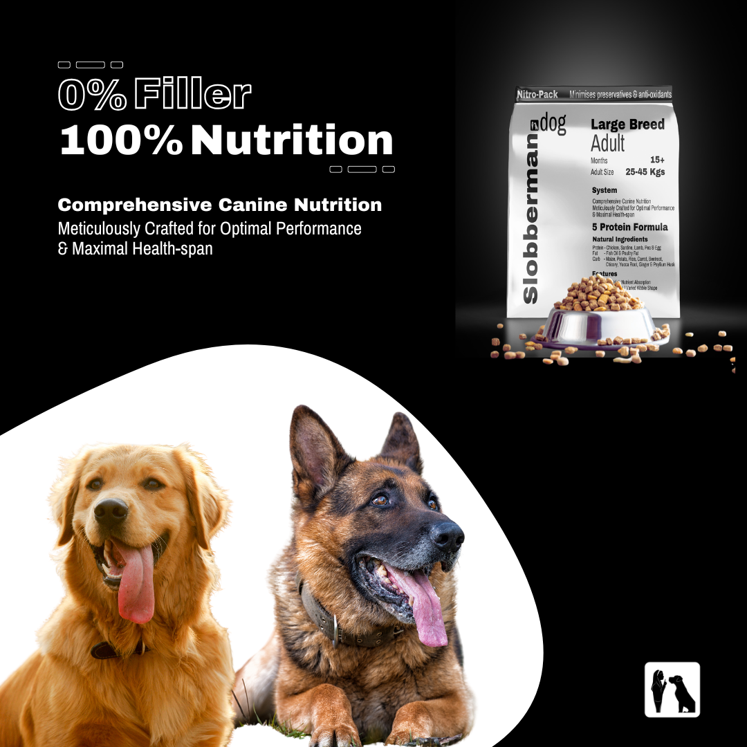 Healthiest dry dog food for large breeds best sale